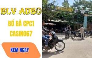 Bồ Gà CPC1 (Casino67) – Địa Điểm Trực Tiếp Các Trận Đá Gà C1 Hàng Ngày