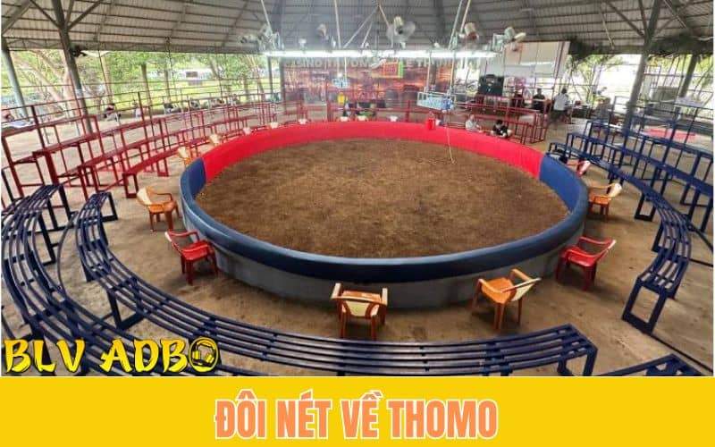 Thomo là gì?