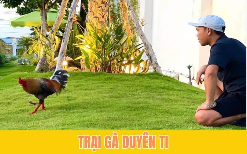 Trại Gà Duyên Ti  nổi tiếng với mẻ gà khét mâm trầu