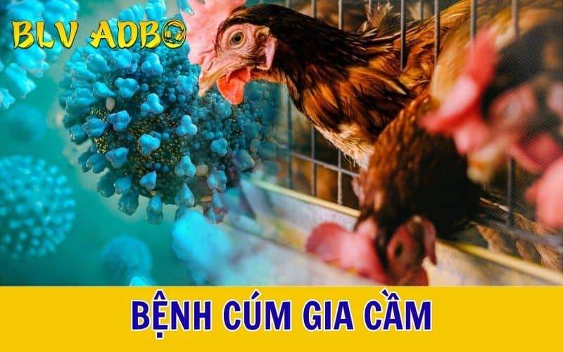 Bệnh cúm gia cầm
