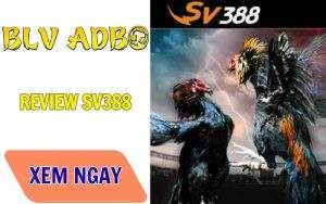 Review SV388