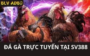 Giới Thiệu Đá Gà SV388