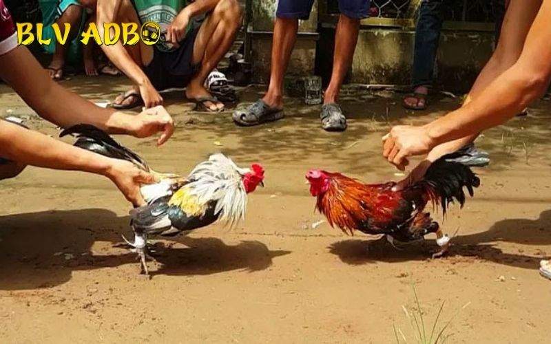 Với những lỗi nhỏ có thể dẫn đến kết quả thua